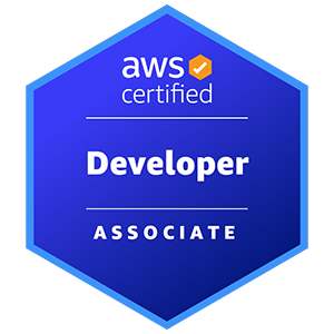 aws certified Developer